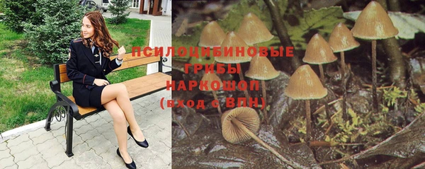 a pvp Михайлов