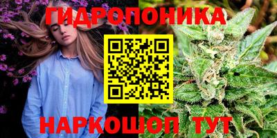 эйфоретик Донецк
