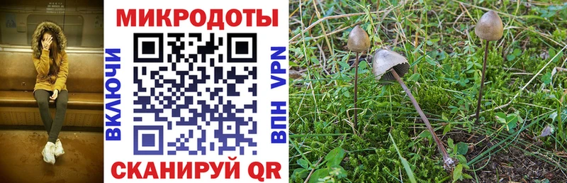 мега ONION Салават Псилоцибиновые грибы прущие грибы как найти наркотики