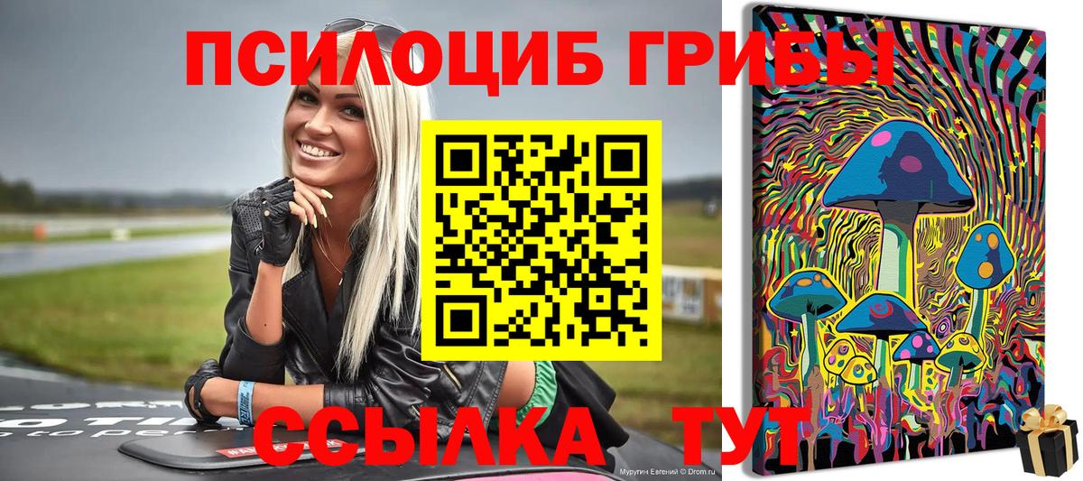 Салават  Псилоцибиновые грибы Magic Shrooms  Вход с VPN 
